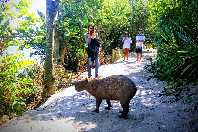 Rio Nature Secrets - The Eco Citytour (small group or private) - Who Will Love This Tour?