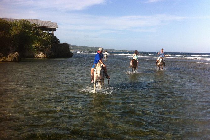 Roatan Excursion: Horseback Ride / Plus Sloth Park and Beach Break - A Deep Dive into the Roatan Experience
