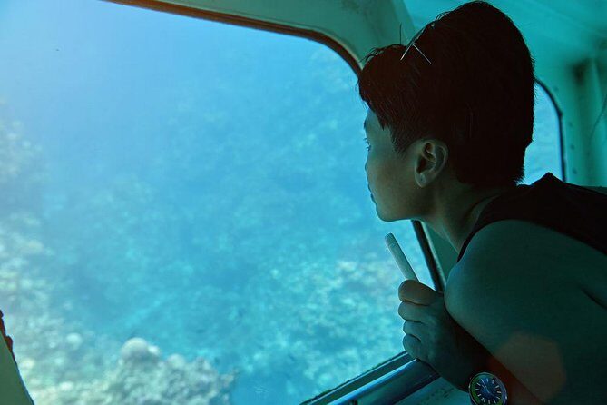 Roatan Excursion: Horseback Ride / Plus Sloth Park and Glass Bottom Boat - Authentic Encounters and Honest Insights