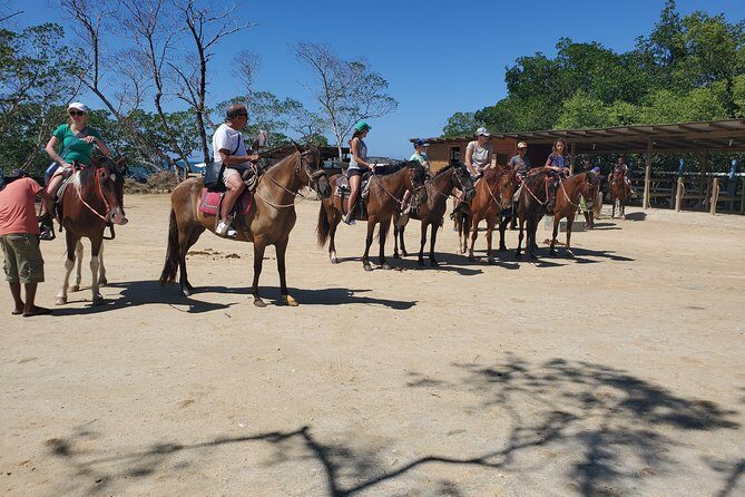 Roatan Excursion: Horseback Ride / Sloths park / Snorkel With Beach Break - FAQ