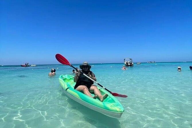 Roatan Monkeys & Sloths + Chocolate & Rum Tasting + Beach Break - Why this tour works for travelers