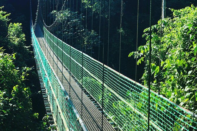 Roatan Shore Excursion: Hanging Bridges Eco Tour and Beach Break - Wildlife and Flora Opportunities