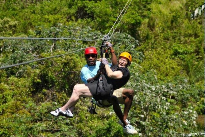 Roatan Shore Excursion: Zip 'n' Dip Canopy Tour - Who is This Tour Best For?