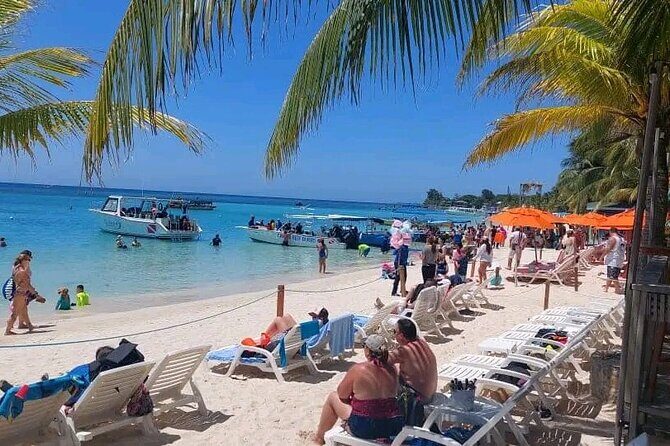 Roatan Sloths & Monkeys, Chocolate Factory plus Beach Break - Who will love this tour?