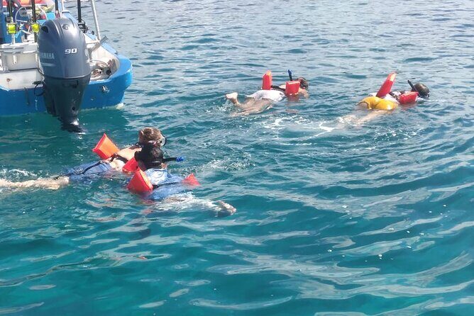 Roatan Snorkeling Shore Excursion Sanctuary Park and Beach Break - Transportation and Group Experience