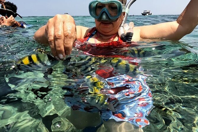 Rosario Islands and Playa Blanca Tour with Snorkeling or Aquarium - FAQs