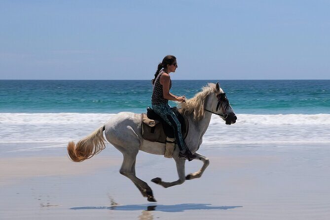 Safari & Barigona Beach on horseback - What to expect on the itinerary