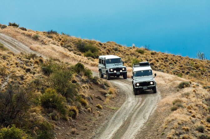 Safari Experience - Wildlife & Steppe - A Deep Dive into Patagonia’s Wildlife & Steppe