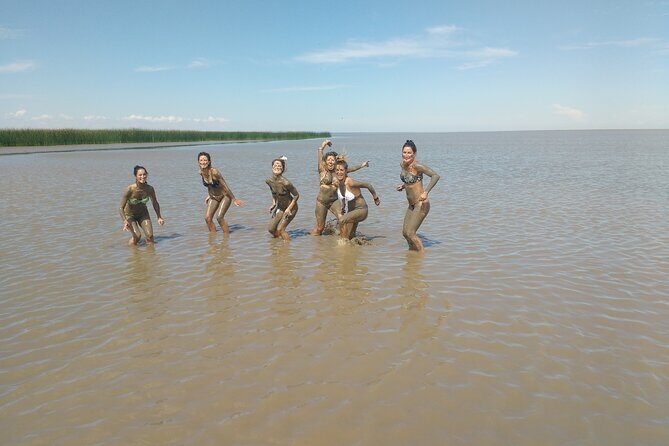 Safari náutico en tigre - Why This Tour Stands Out