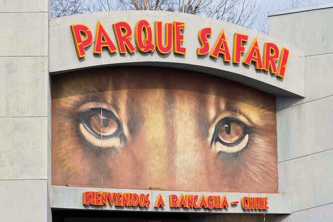 Safari Park, Wild Experience - What Makes This Tour Stand Out?