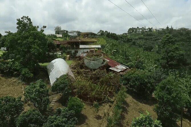 Salento and Cócora Tour plus Coffee Farm from Pereira or Armenia - Why This Tour Offers Good Value