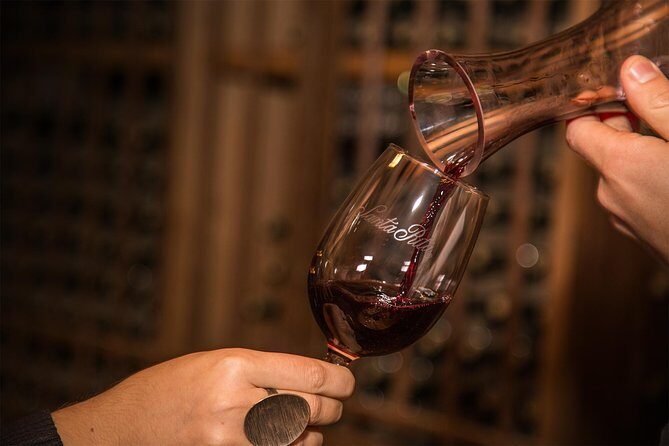 Santa Rita Winery Selection Tour - Who Will Love This Tour?