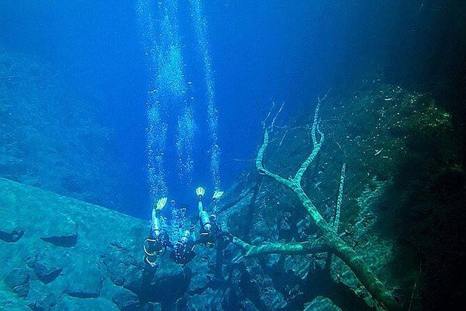 Skip the Line: Lagoa Misteriosa Admission Ticket with Scuba Diving Experience - Who Should Consider This Tour?