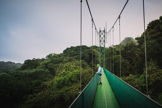 Sky Walk From Monteverde - Authentic Feedback from Travelers