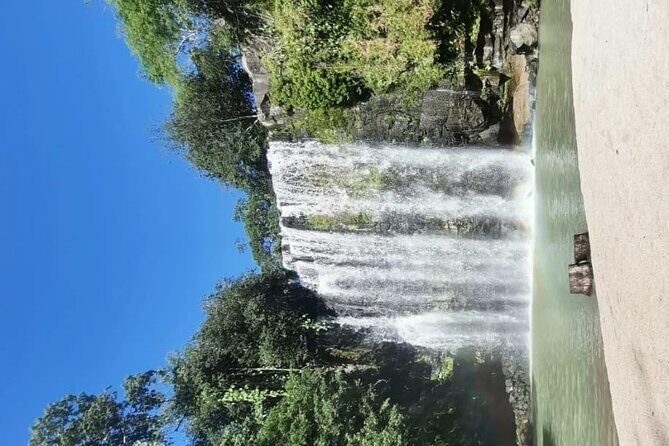 Sloth Watching + Waterfall & Organic Coffee and Chocolate Tour - The Sum Up