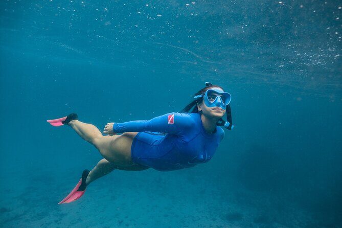 Snorkel Dive with Turtles - Why This Tour Works Well for Travelers