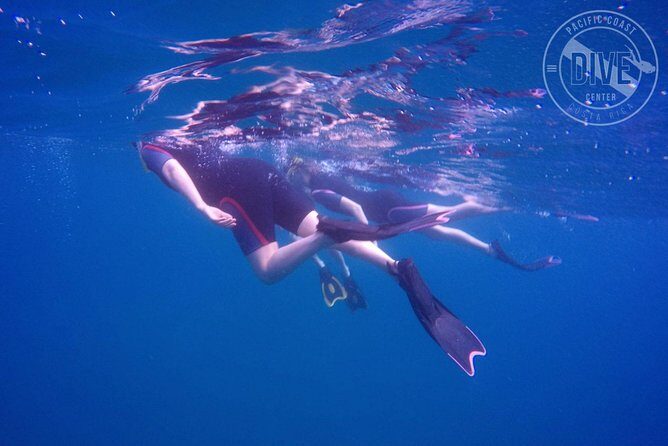 Snorkeling at Catalina Islands & North Island - CR - Who Should Consider This Tour?