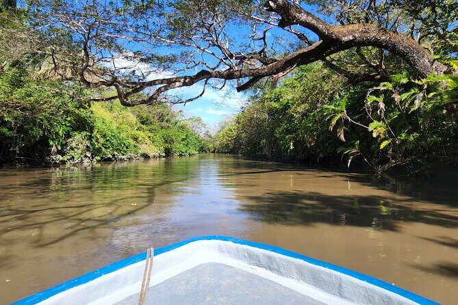 Spectacular Palo Verde Eco-Tour & Blue Zone Adventure - FAQs