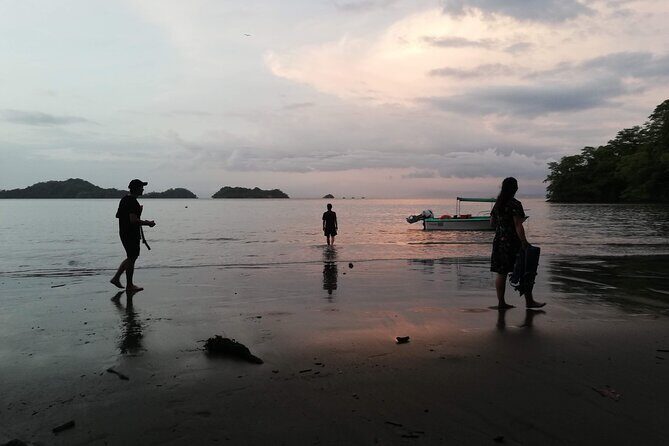 Sunset Bioluminescence Tour by Boat - Who Should Book This Tour?