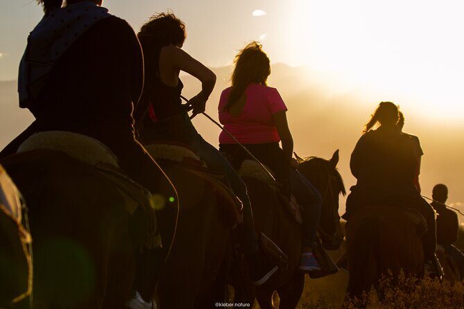Sunset Horseback Riding - In-Depth Look at the Experience