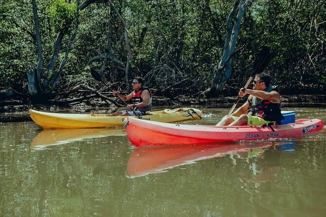 Tamarindo Kayak Estuary Mangrove Tour - Authentic Encounters and What to Expect Next