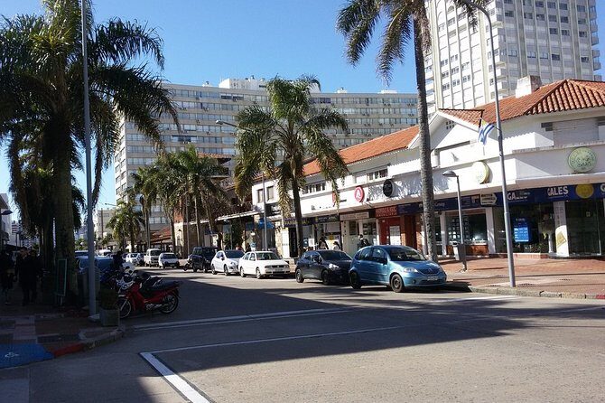 The Best Punta del Este Day Trip from Montevideo - Who Will Appreciate This Tour?