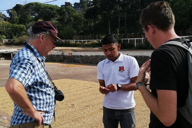 The Classic Ruta de las Flores : Towns, Coffee Tour & Hot Springs - Who Should Consider This Tour?