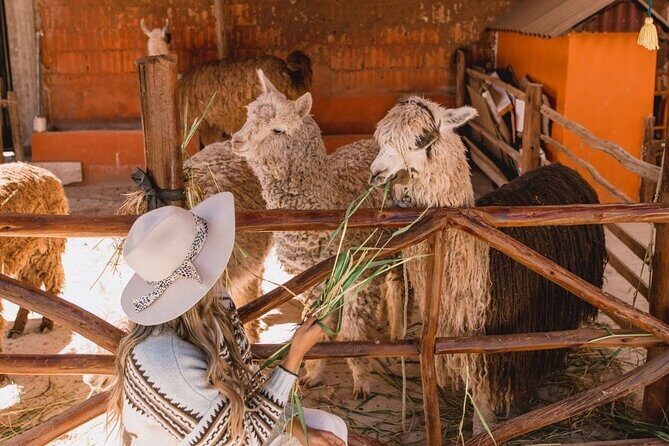 The Ultimate Full Day Sacred Valley Tour - Who Will Love This Tour?