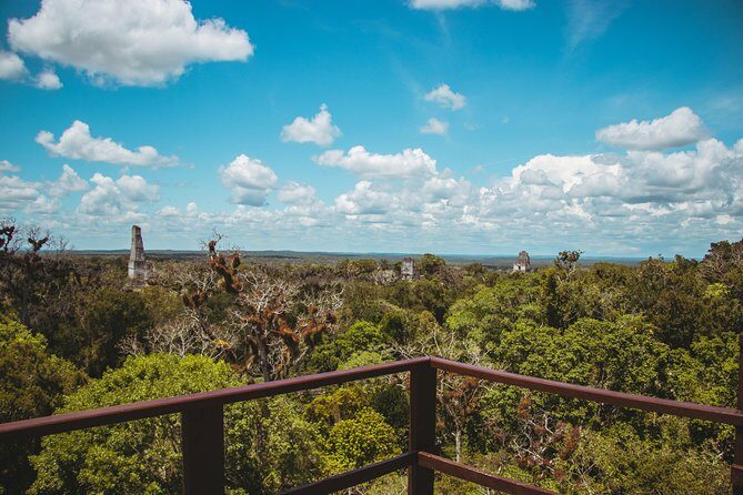 Tikal Tour From San Ignacio Belize - What You Can Expect at Tikal