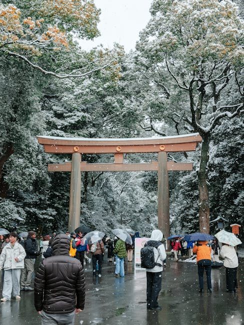 Visitors with umbrellas at the Meiji Shrine torii in snowy Shibuya, Tokyo.