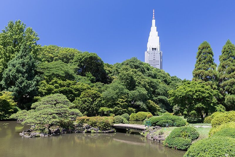 Footbridge over a pond in Shinjuku Gyoen National Garden and NTT DoCoMo Yoyogi Building in the background, a sunny day w
