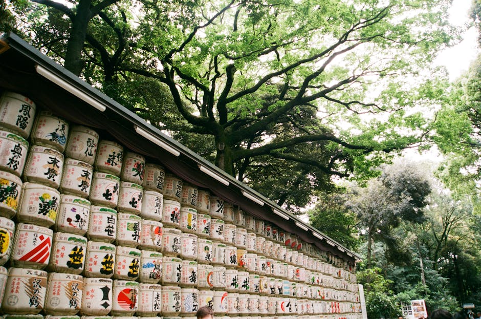 Sake barrels at Meiji Shrine, Tokyo