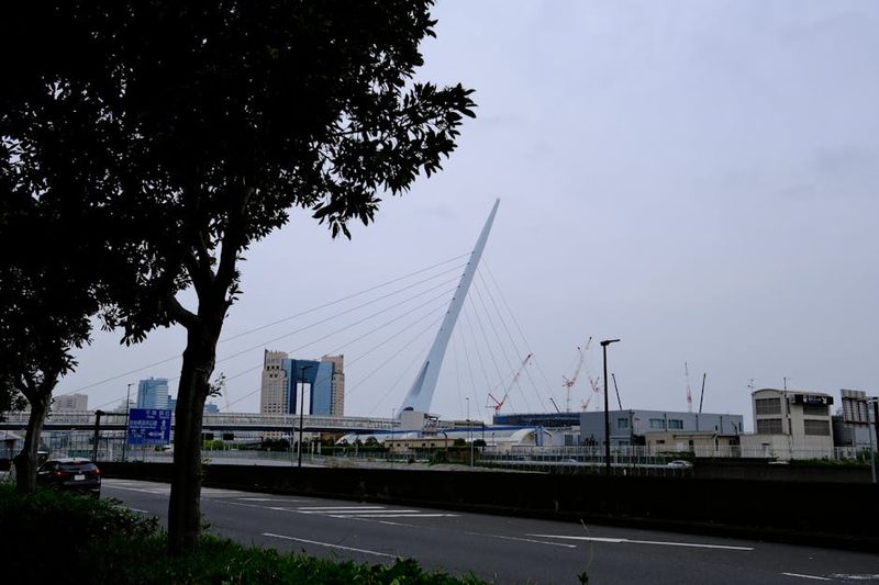 View of a modern bridge in Tokyo with urban skyline and tree foreground.