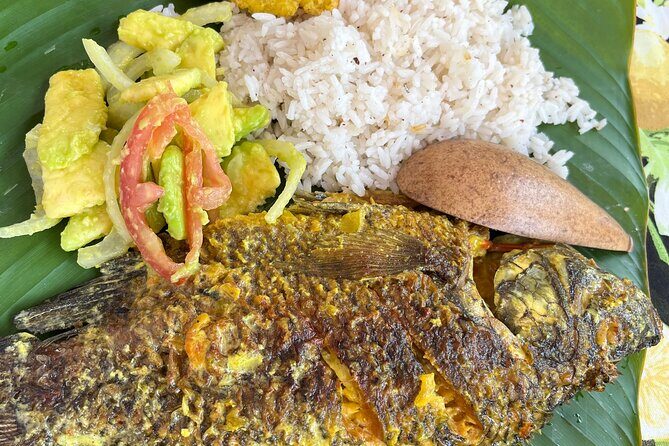 Tour a san Basilio de Palenque desde cartagena - A Close Look at What the Tour Offers