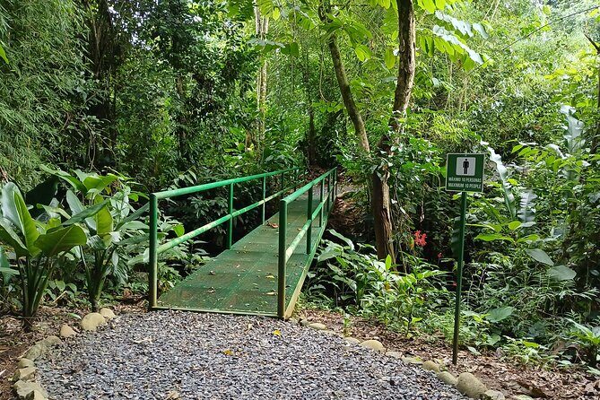 Tour and Night Walk La Fortuna - Analyzing the Value and Experience Quality