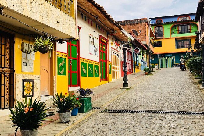 Tour to Guatapé more Farm of the llamas and the Alpacas - Exploring the Tour in Detail