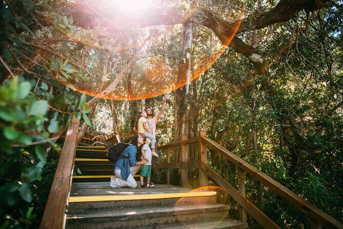 Tour with Navigation to the Arrayanes Forest and Victoria Island - Final Verdict: Who Should Consider This Tour?