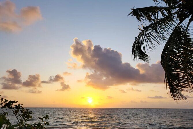 Transfer from Maceió to São Miguel dos Milagres - The Authenticity and Professionalism of Service