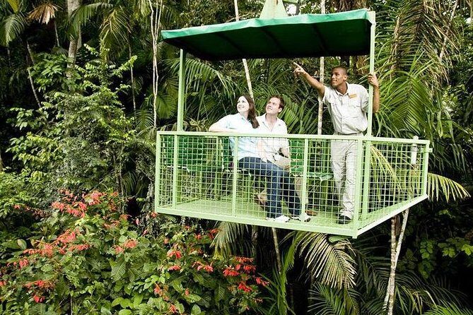 Transfers from PTY Airport to Playa Bonita or Gamboa and Back - A Closer Look at This Transfer Experience