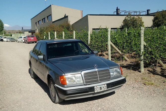 Transportation around Mendoza or others states!!! Trips.. transfers - Final Thoughts