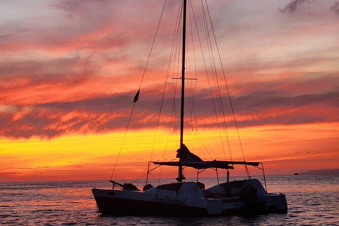 Tropical Catamaran Adventure - Analyzing the Value: Is This Tour Worth It?