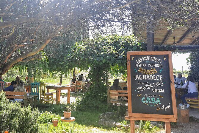 Uco Valley Wineries Day with Private Driver - Who Should Book This Tour?