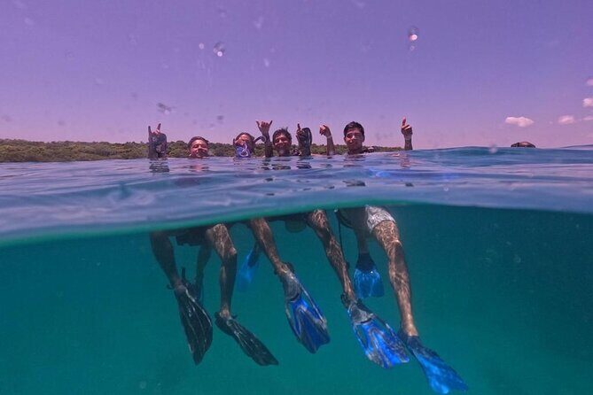 Under a sea of adventures, unforgettable diving. - FAQ