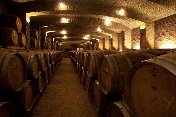 Undurraga Sibaris Tour Ticket - The Guide and Group Size