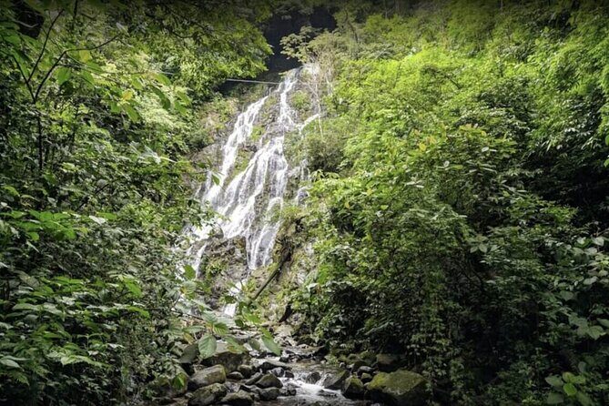 Valle De Anton Rainfall Hot Springs and Nature Private Tour - Transportation and Timing