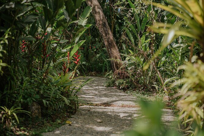 Vanilla, Cacao & Spice Tour in Manuel Antonio - Final Thoughts: Is It Worth It?