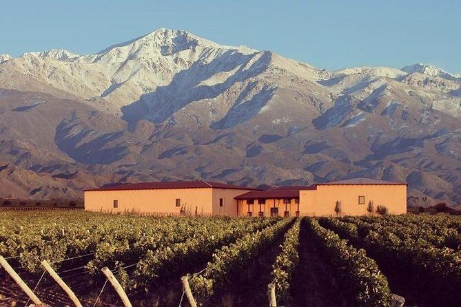 Vineyards with Wine Tasting in Mendoza - Who Should Consider This Tour?