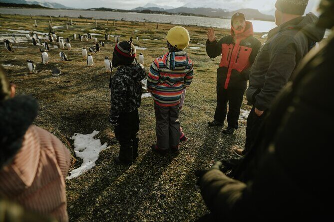 Walking with Penguins in Ushuaia Hammer Island - Terrestrial - Weather and Practical Tips