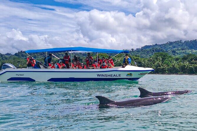 Whale Watching at the Marino Ballena National Park - Who Will Love This Tour?