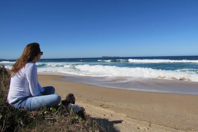 Whale Watching Whale watching from land - FAQs